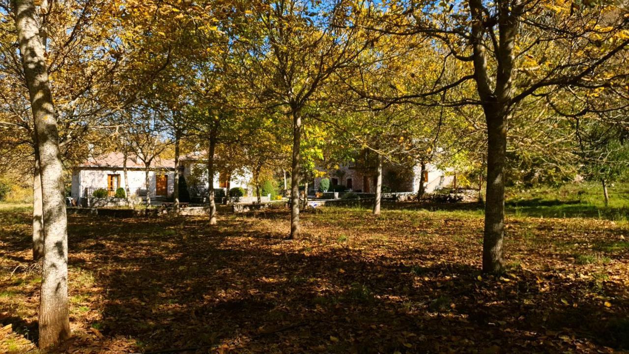 Andrea Sofi Guesthouse Dimitsana Exterior photo