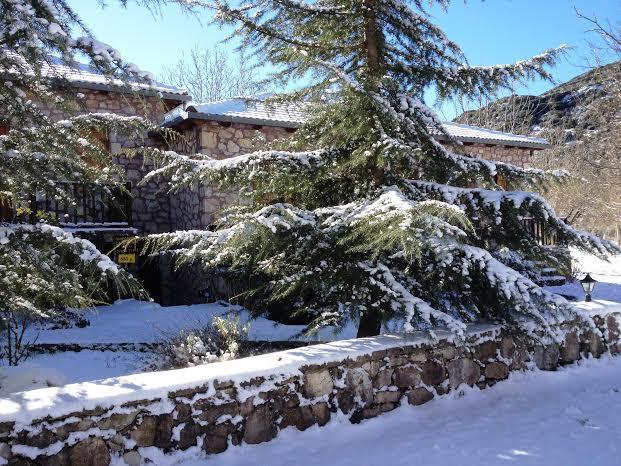 Andrea Sofi Guesthouse Dimitsana Exterior photo